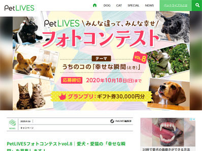 写真 フォトコンテスト情報サイト フォトコンめぐり テーマ別