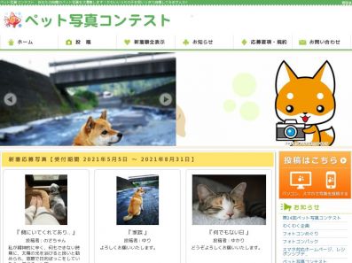 写真 フォトコンテスト情報サイト フォトコンめぐり テーマ別 写真 フォトコンテスト情報サイト フォトコンめぐり テーマ別