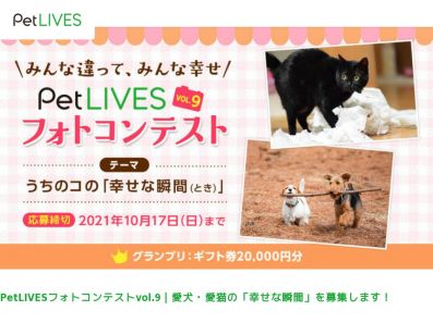 写真 フォトコンテスト情報サイト フォトコンめぐり テーマ別 写真 フォトコンテスト情報サイト フォトコンめぐり テーマ別